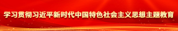 疯骚女插穴学习贯彻习近平新时代中国特色社会主义思想主题教育