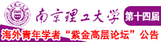 操熟女网站南京理工大学第十四届海外青年学者紫金论坛诚邀海内外英才！